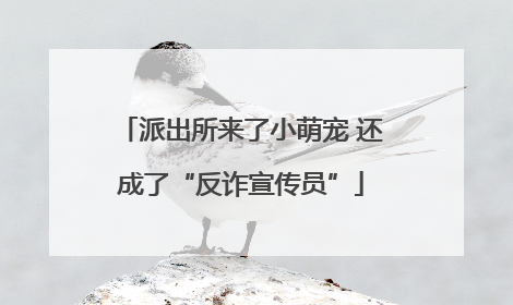 派出所来了小萌宠 还成了“反诈宣传员”
