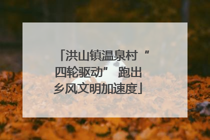 洪山镇温泉村“四轮驱动” 跑出乡风文明加速度