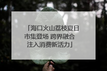 海口火山荔枝夏日市集登场 跨界融合注入消费新活力