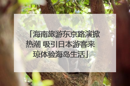 海南旅游东京路演掀热潮 吸引日本游客来琼体验海岛生活