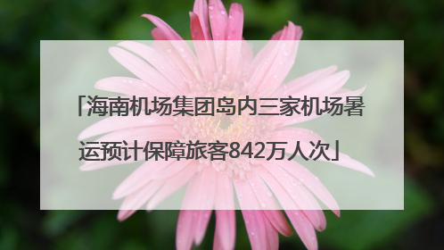 海南机场集团岛内三家机场暑运预计保障旅客842万人次