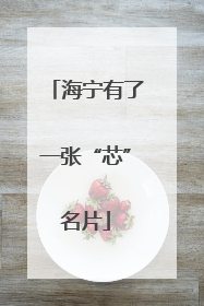 海宁有了一张“芯”名片