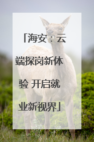 海安：云端探岗新体验 开启就业新视界