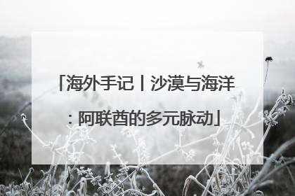 海外手记丨沙漠与海洋：阿联酋的多元脉动