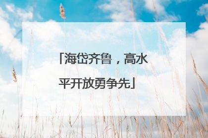 海岱齐鲁，高水平开放勇争先