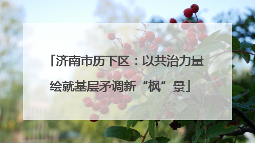 济南市历下区：以共治力量绘就基层矛调新“枫”景
