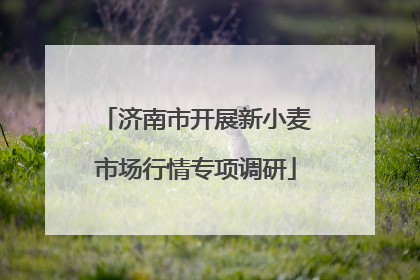 济南市开展新小麦市场行情专项调研