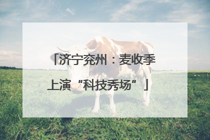 济宁兖州：麦收季上演“科技秀场”