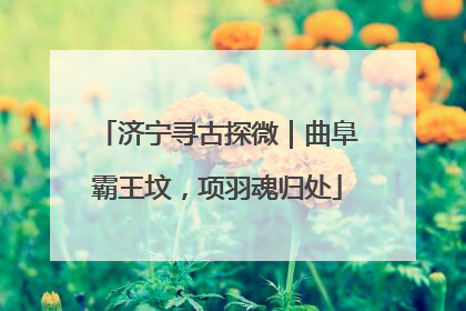 济宁寻古探微｜曲阜霸王坟，项羽魂归处