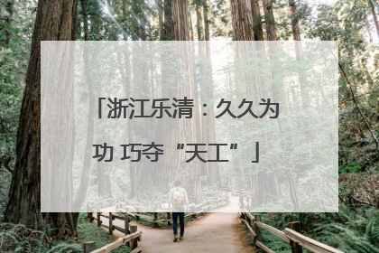 浙江乐清：久久为功 巧夺“天工”