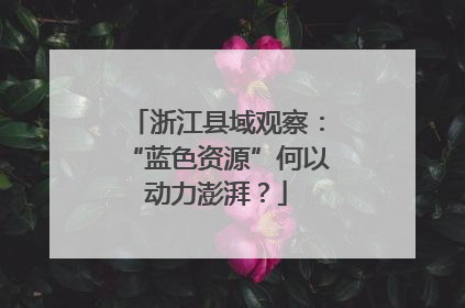 浙江县域观察：“蓝色资源”何以动力澎湃？