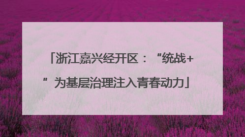 浙江嘉兴经开区：“统战+”为基层治理注入青春动力