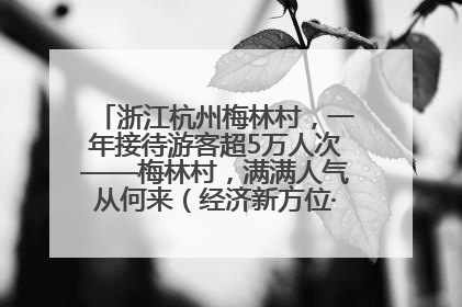 浙江杭州梅林村，一年接待游客超5万人次——梅林村，满满人气从何来（经济新方位·农村消费观察）