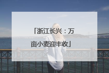 浙江长兴：万亩小麦迎丰收