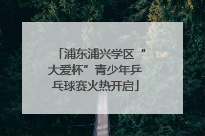 浦东浦兴学区“大爱杯”青少年乒乓球赛火热开启