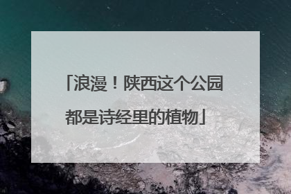 浪漫！陕西这个公园都是诗经里的植物