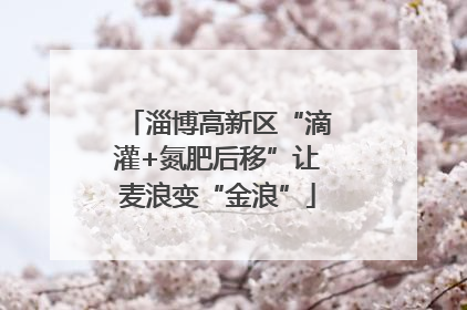 淄博高新区“滴灌+氮肥后移”让麦浪变“金浪”
