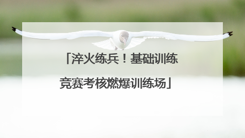 淬火练兵！基础训练竞赛考核燃爆训练场