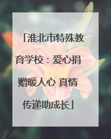 淮北市特殊教育学校：爱心捐赠暖人心 真情传递助成长