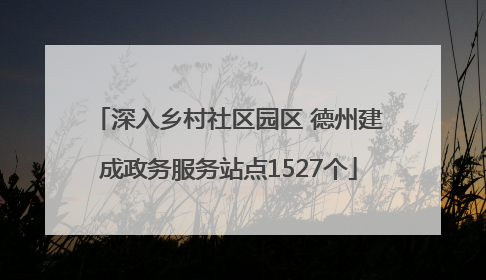 深入乡村社区园区 德州建成政务服务站点1527个
