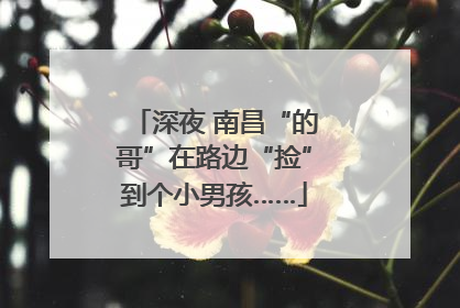 深夜 南昌“的哥”在路边“捡”到个小男孩……