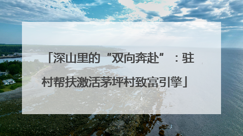 深山里的“双向奔赴”：驻村帮扶激活茅坪村致富引擎