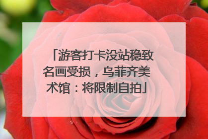 游客打卡没站稳致名画受损，乌菲齐美术馆：将限制自拍