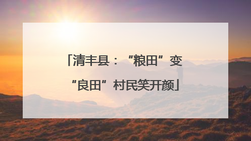 清丰县：“粮田”变“良田”村民笑开颜