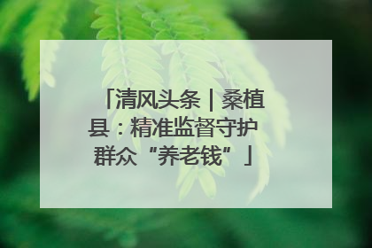 清风头条｜桑植县：精准监督守护群众“养老钱”