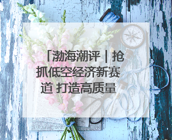 渤海潮评｜抢抓低空经济新赛道 打造高质量发展新引擎
