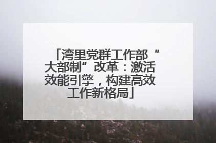 湾里党群工作部“大部制”改革：激活效能引擎，构建高效工作新格局