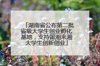 湖南省公布第二批省级大学生创业孵化基地，支持留湘来湘大学生创新创业