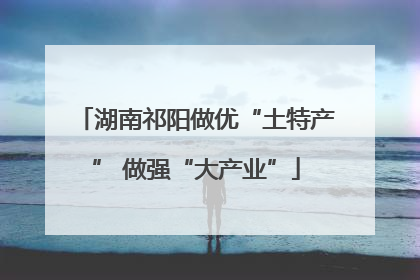 湖南祁阳做优“土特产” 做强“大产业”