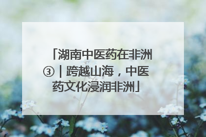 湖南中医药在非洲③｜跨越山海，中医药文化浸润非洲