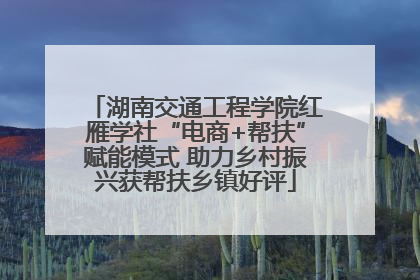 湖南交通工程学院红雁学社“电商+帮扶”赋能模式 助力乡村振兴获帮扶乡镇好评