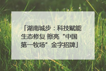 湖南城步：科技赋能生态修复 擦亮“中国第一牧场”金字招牌