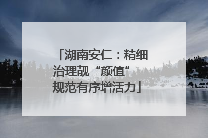 湖南安仁：精细治理靓“颜值” 规范有序增活力
