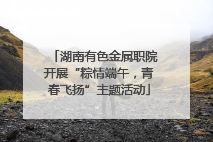 湖南有色金属职院开展“粽情端午，青春飞扬”主题活动
