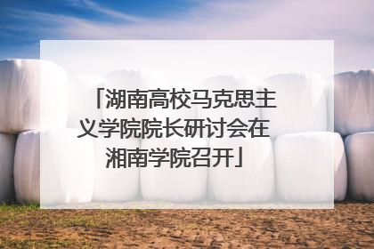 湖南高校马克思主义学院院长研讨会在湘南学院召开