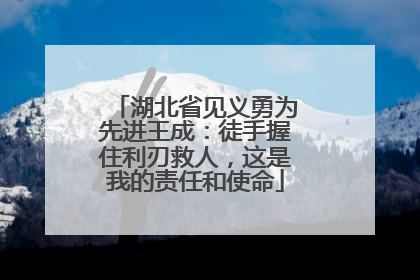 湖北省见义勇为先进王成：徒手握住利刃救人，这是我的责任和使命