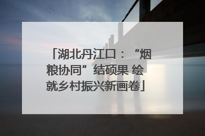 湖北丹江口：“烟粮协同”结硕果 绘就乡村振兴新画卷