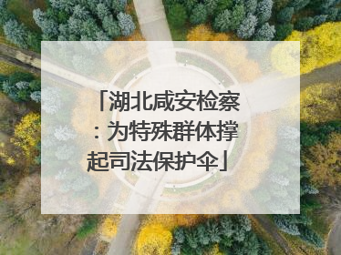 湖北咸安检察：为特殊群体撑起司法保护伞