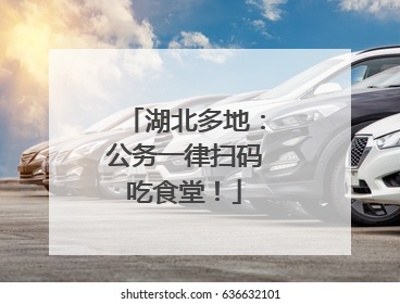 湖北多地：公务一律扫码吃食堂！
