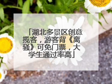 湖北多景区创意揽客，游客背《离骚》可免门票，大学生通过率高