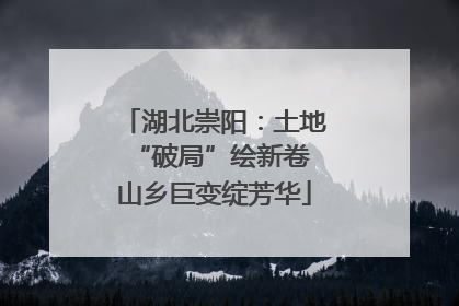 湖北崇阳：土地“破局”绘新卷 山乡巨变绽芳华