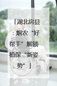湖北房县：烟农“好帮手”解锁植保“新姿势”