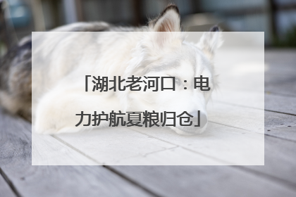 湖北老河口：电力护航夏粮归仓