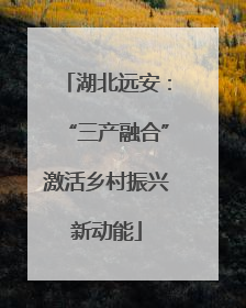 湖北远安：“三产融合”激活乡村振兴新动能