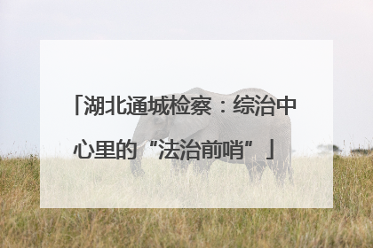 湖北通城检察：综治中心里的“法治前哨”