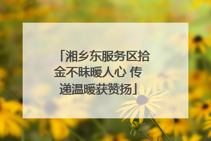 湘乡东服务区拾金不昧暖人心 传递温暖获赞扬